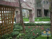 东湖国际 1室1厅 南