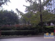 桂湖名都3室2厅西北
