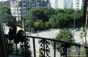 顺苑实景图