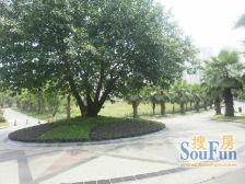 西区 泽科港城国际二房75万