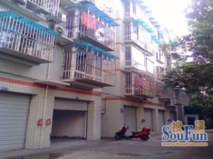 华兴苑B区3室2厅南
