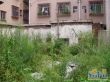港口自建房别墅实景图