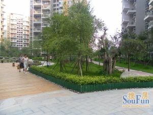 师大现代花园3室2厅东南