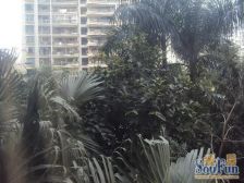 此房格局方正,带平台,一房一厅,满五唯一,税费少