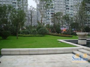 招商雍华府二期 3室1厅 南