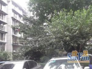 金洲家园2室2厅西