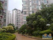 湾华地铁。世纪康城,新装修南北通透,户型方正