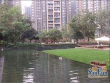 华润凤凰城一期 3室2厅 东北