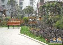 花香村 曦城尚品 单价5800 电梯房 小区绿化好