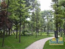 南苑小区B区 4室2厅 南