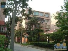 机会来啦!外环外老人养老或夫妻俩全明户型15+大院子