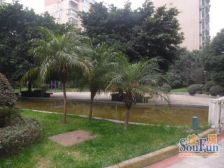 天鹅星座 3室2厅 东南