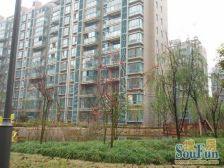 文景苑 新城白玉兰获奖小区 户型正气 环境好 楼层好