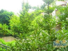 书香府邸 2室1厅 南