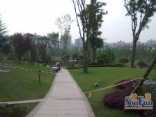 金科联排别墅 诚心出售 看起了可以谈