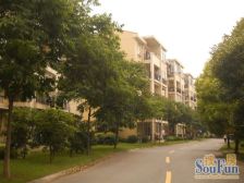 中城苑多层南北通,两房业主急售