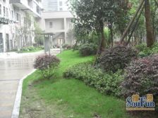 国嘉新视界 2室1厅 东南