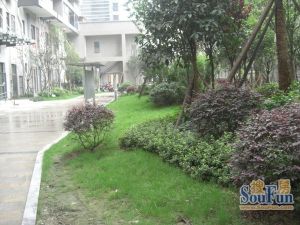 国嘉新视界2室1厅东南