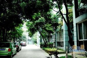 置信柳城谊苑5室1厅东北