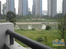 蓝光凯丽香江 3室2厅 南 北