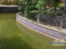 天和天逸花园1室1厅东西