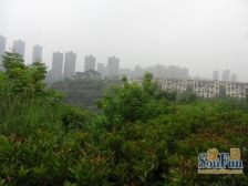 协信彩云湖1号 3室2厅 南