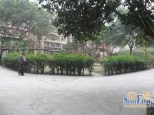 望丛西路82号3室2厅北东南
