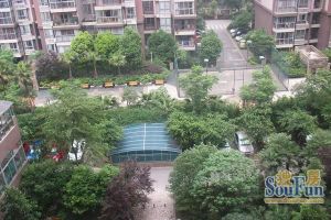 清江雅居 2室1厅 东南