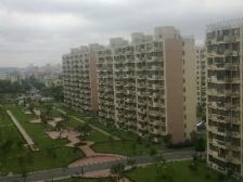 人车分流小区 安静舒适 带车位