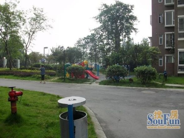 鱼凫阳光实景图