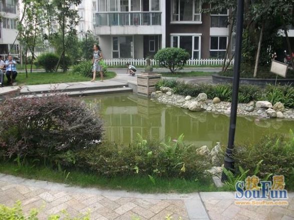 鱼凫阳光实景图