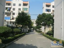 杨园七村三房改打两房 精装修 看房方便,采光好