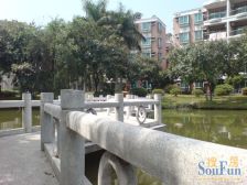 碧桂园西苑一楼带107方花园,门口停车方便