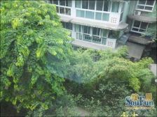 交大智能五期3室2厅东南南