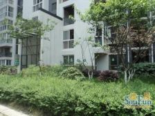 天府江南C区3室1厅东南