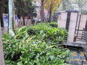 龙湖三千里B区二期3室2厅西北