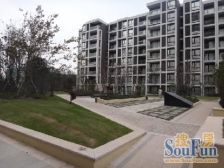 商品房小区,层高3.3米,看房方便