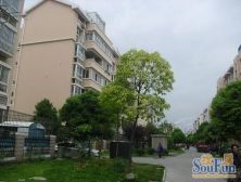 一梯两户,精装修,诚意出售,精装好房,环境优美