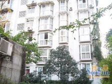 倪家桥路10号3室1厅东南