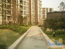 印象欧洲(公寓) 3室1厅 南