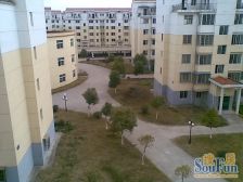 上海新城 南北通透,采光好 视野好,诚心出售