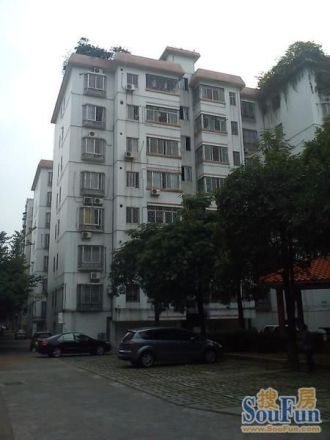 南桂东路小区实景图