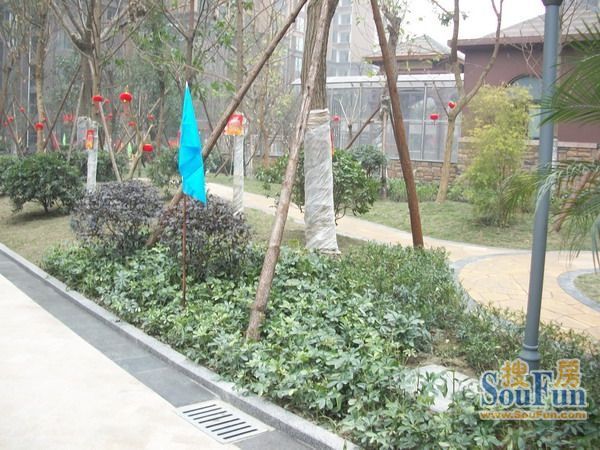 小区相关图