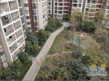 双华麓港 4室2厅 东 东南