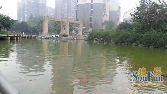 实久花园实景图