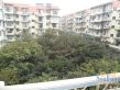 阳光花园实景图
