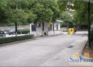 紫薇社区 3室2厅 南