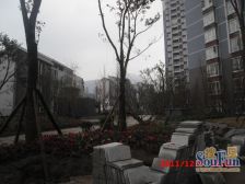 老城区 泰吉滨江一房51.5万