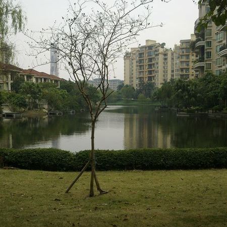 雍景豪園別墅,廣州荔灣鹽步雍景豪園御景臺二手房三室 - 房天下