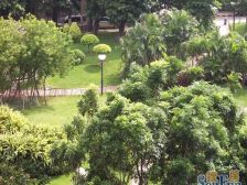 第三金碧花园2室北朝向310.00万元/套出售